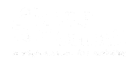 VLP Conseil Logo